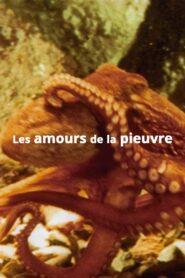 THE LOVE LIFE OF THE OCTOPUS