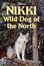 Nikki, O Cão Selvagem do Norte
