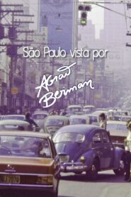 São Paulo vista por Abrão Berman