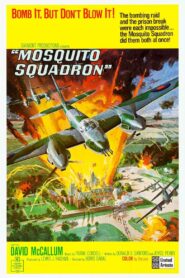 Esquadrão Mosquito